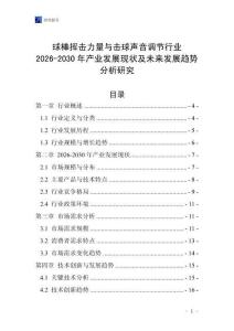 球棒揮擊力量與擊球聲音調節行業2026-2030年產業發展現狀及未來發展趨勢分析研究