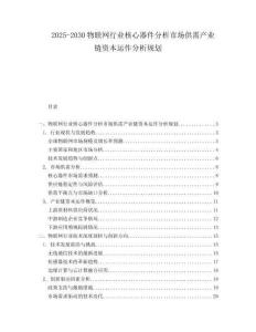 2025-2030物聯網行業核心器件分析市場供需產業鏈資本運作分析規劃