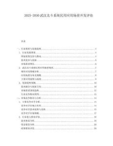 2025-2030武漢北斗系統民用應用場景開發評估