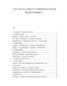 2025-2030無人駕駛汽車產業鏈供需動態分析及投資機遇評估規劃報告