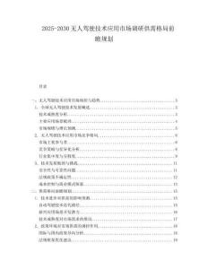 2025-2030無人駕駛技術應用市場調研供需格局前瞻規劃