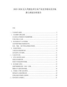 2025-2030無人駕駛技術(shù)行業(yè)產(chǎn)業(yè)競爭格局及市場潛力規(guī)劃分析報告