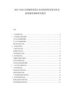 2025-2030完善融資渠道行業風險投資發展分析及投資融資策略研究報告