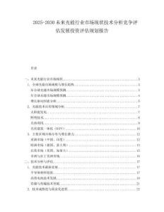 2025-2030未來光能行業市場現狀技術分析競爭評估發展投資評估規劃報告