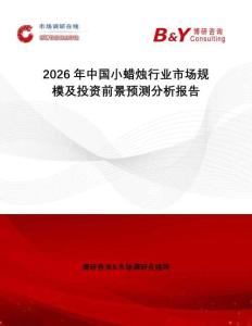2026年中國小蠟燭行業市場規模及投資前景預測分析報告