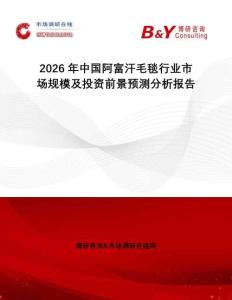 2026年中國阿富汗毛毯行業(yè)市場規(guī)模及投資前景預(yù)測分析報告