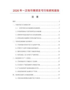 2026年一次性竹筷項目可行性研究報告