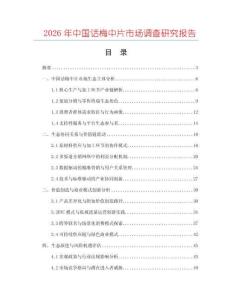 2026年中國話梅中片市場調查研究報告
