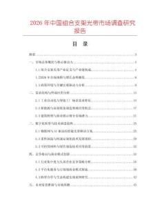 2026年中國組合支架光帶市場調查研究報告