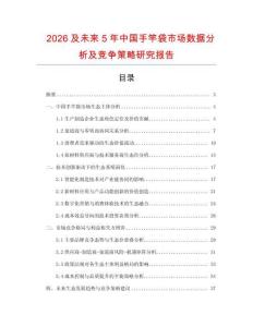 2026及未來5年中國手竿袋市場(chǎng)數(shù)據(jù)分析及競(jìng)爭(zhēng)策略研究報(bào)告
