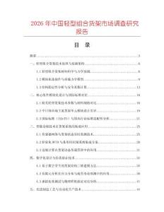 2026年中國輕型組合貨架市場調查研究報告