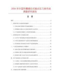 2026年中國防爆感應式接點壓力表市場調查研究報告