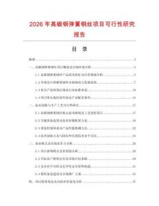 2026年高碳鋼彈簧鋼絲項目可行性研究報告