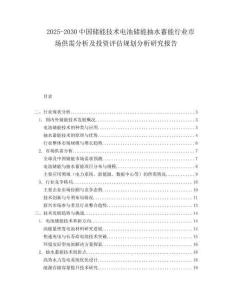 2025-2030中國儲(chǔ)能技術(shù)電池儲(chǔ)能抽水蓄能行業(yè)市場(chǎng)供需分析及投資評(píng)估規(guī)劃分析研究報(bào)告