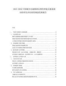 2025-2030中國城市交通擁堵治理的智能交通系統分析研究評估投資規劃發展報告