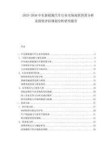 2025-2030中東新能源汽車行業(yè)市場(chǎng)現(xiàn)狀供需分析及投資評(píng)估規(guī)劃分析研究報(bào)告