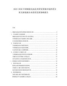 2025-2030中國儲(chǔ)能電池技術(shù)研發(fā)領(lǐng)域市場(chǎng)供需分析及新能源企業(yè)投資發(fā)展策略報(bào)告