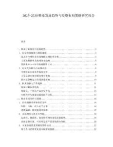 2025-2030鞋業發展趨勢與投資布局策略研究報告