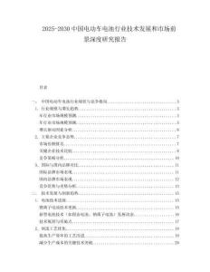 2025-2030中國電動車電池行業(yè)技術(shù)發(fā)展和市場前景深度研究報告
