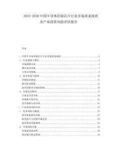 2025-2030中國半導體存儲芯片行業(yè)市場需求現(xiàn)狀及產(chǎn)業(yè)投資風險評估報告