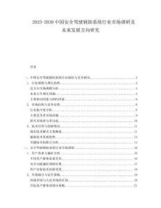 2025-2030中國安全駕駛輔助系統(tǒng)行業(yè)市場調(diào)研及未來發(fā)展方向研究