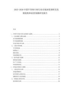 2025-2030中國半導體片材行業市場深度調研及發展趨勢和前景預測研究報告