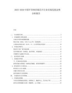 2025-2030中國半導體存儲芯片行業市場發展態勢分析報告