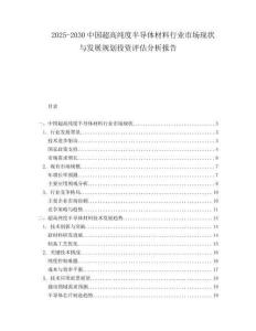 2025-2030中國超高純度半導體材料行業市場現狀與發展規劃投資評估分析報告
