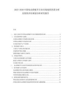 2025-2030中國電動滑板車行業市場現狀供需分析及投資評估規劃分析研究報告
