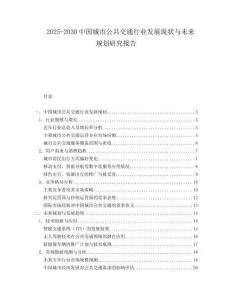 2025-2030中國(guó)城市公共交通行業(yè)發(fā)展現(xiàn)狀與未來(lái)規(guī)劃研究報(bào)告