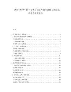 2025-2030中國半導體存儲芯片技術突破與國際競爭態勢研究報告