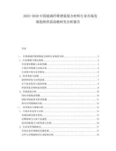 2025-2030中國玻璃纖維增強(qiáng)復(fù)合材料行業(yè)市場發(fā)展趨勢供需前瞻研究分析報(bào)告