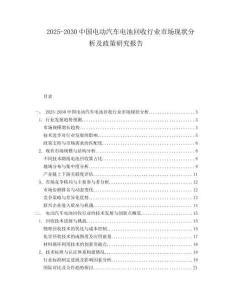 2025-2030中國(guó)電動(dòng)汽車電池回收行業(yè)市場(chǎng)現(xiàn)狀分析及政策研究報(bào)告