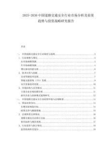 2025-2030中國(guó)道路交通安全行業(yè)市場(chǎng)分析及前景趨勢(shì)與投資戰(zhàn)略研究報(bào)告