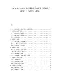 2025-2030中東重型機械租賃服務行業市場供需分析投資評估發展規劃報告
