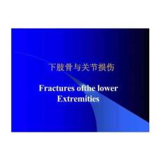【PPT課件】下肢骨、關(guān)節(jié)損傷.