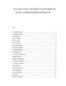 2025-2030中國電子商務營銷行業市場需求供給創新分析與發展投資領域規劃分析特別方案