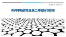 新興市場(chǎng)普惠金融工具創(chuàng)新與應(yīng)用