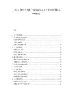 2025-2030中國電子商務海外拓展行業市場分析及策略報告