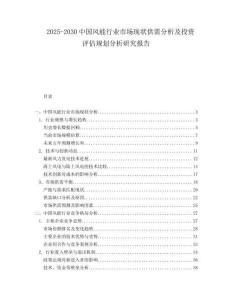 2025-2030中國風(fēng)能行業(yè)市場(chǎng)現(xiàn)狀供需分析及投資評(píng)估規(guī)劃分析研究報(bào)告