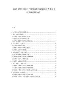 2025-2030中國電子商務(wù)海外拓展需求特點市場競爭發(fā)展前景分析