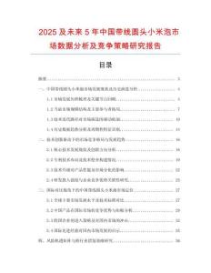 2025及未來5年中國帶線圓頭小米泡市場數(shù)據(jù)分析及競爭策略研究報告