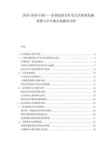 2025-2030中國——東盟投資合作先行區政策實施效果與中小微企業融資分析