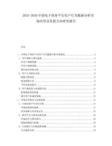 2025-2030中國(guó)電子商務(wù)平臺(tái)用戶行為數(shù)據(jù)分析市場(chǎng)應(yīng)用及發(fā)展方向研究報(bào)告
