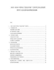 2025-2030中國電子競技市場廣泛研究及電競場館投資與電競游戲品牌建設戰略