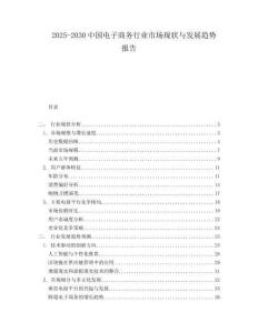 2025-2030中國電子商務(wù)行業(yè)市場現(xiàn)狀與發(fā)展趨勢報(bào)告