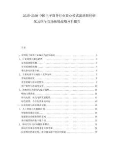 2025-2030中國電子商務行業商業模式演進路徑研究及國際市場拓展戰略分析報告