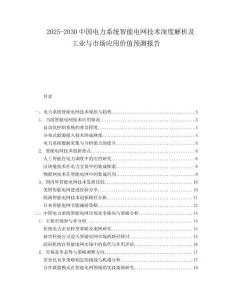 2025-2030中國電力系統智能電網技術深度解析及工業與市場應用價值預測報告