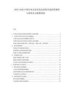 2025-2030中國分布式光伏發電系統市場供需調研與投資怎么配置規劃