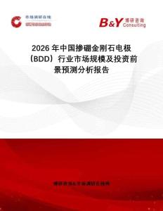 2026年中國摻硼金剛石電極（BDD）行業(yè)市場規(guī)模及投資前景預測分析報告